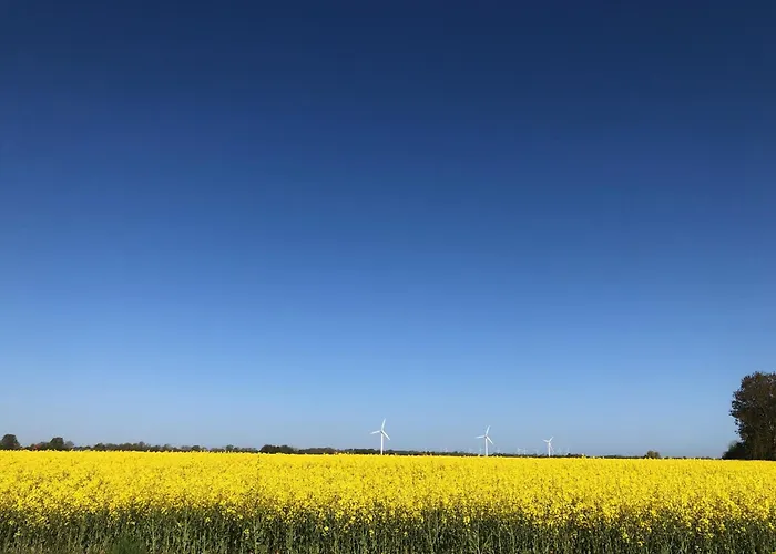 Tief 12 Wattwurm, Gern Mit Hund 34 Schillig